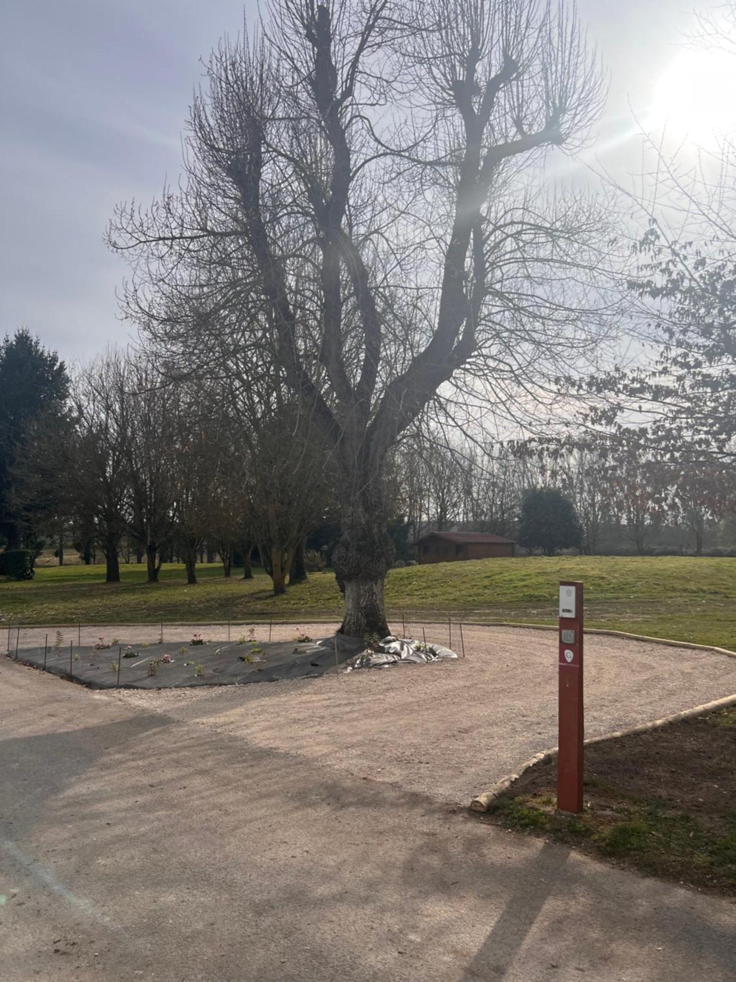 Golf Hotel De La Carte Chouzy-sur-Cisse Exteriör bild